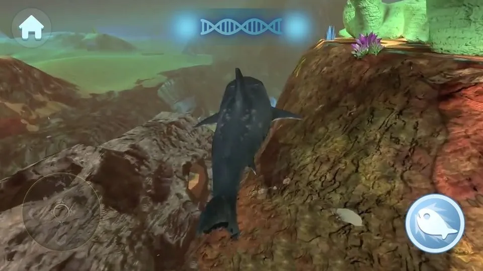 �����С���ƽ�����޽��v1.0 �ֻ���