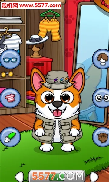 corgi�»�app����v2.2.1 �ֻ���