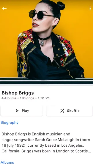 RetroMusic2026���ذ�װv6.5.0 ��׿��