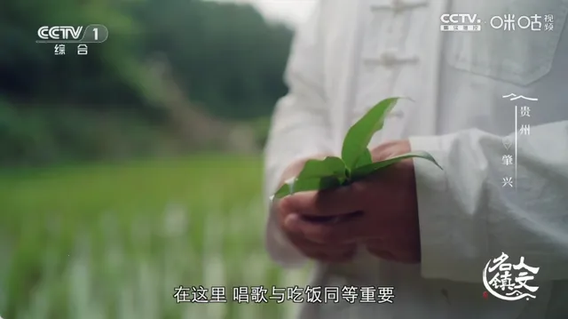 蜂巢直播TV盒子 蜂巢直播TV盒子