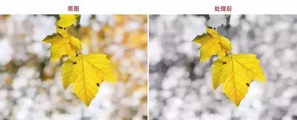 指尖修图 指尖修图