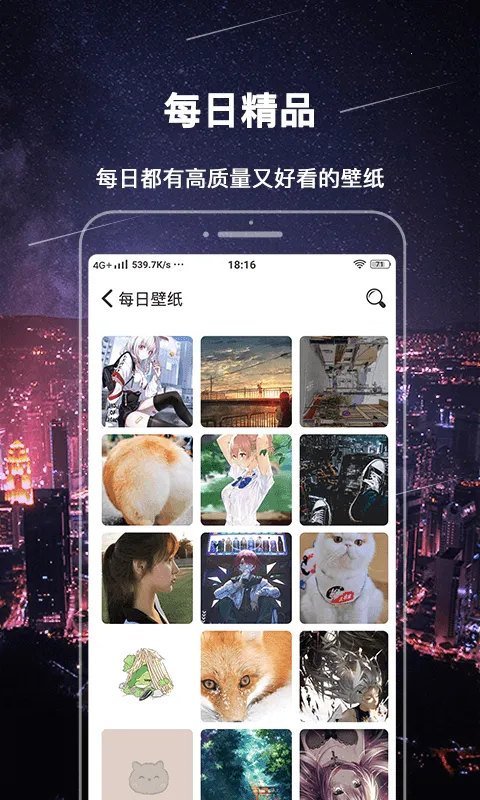 365�����ֽ����v1.0.0 ��׿��