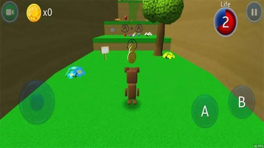 С��ɭ���ռ�2026����