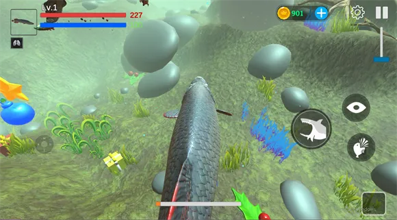 ���״���ɱ��������