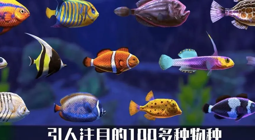 ����ˮ��(ˮ��ݾ�Ӫ��Ϸ)v1.0 �ֻ���