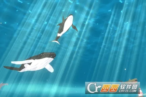 ���״���ɱ�ƽ��v2.1.4 �ٷ�����