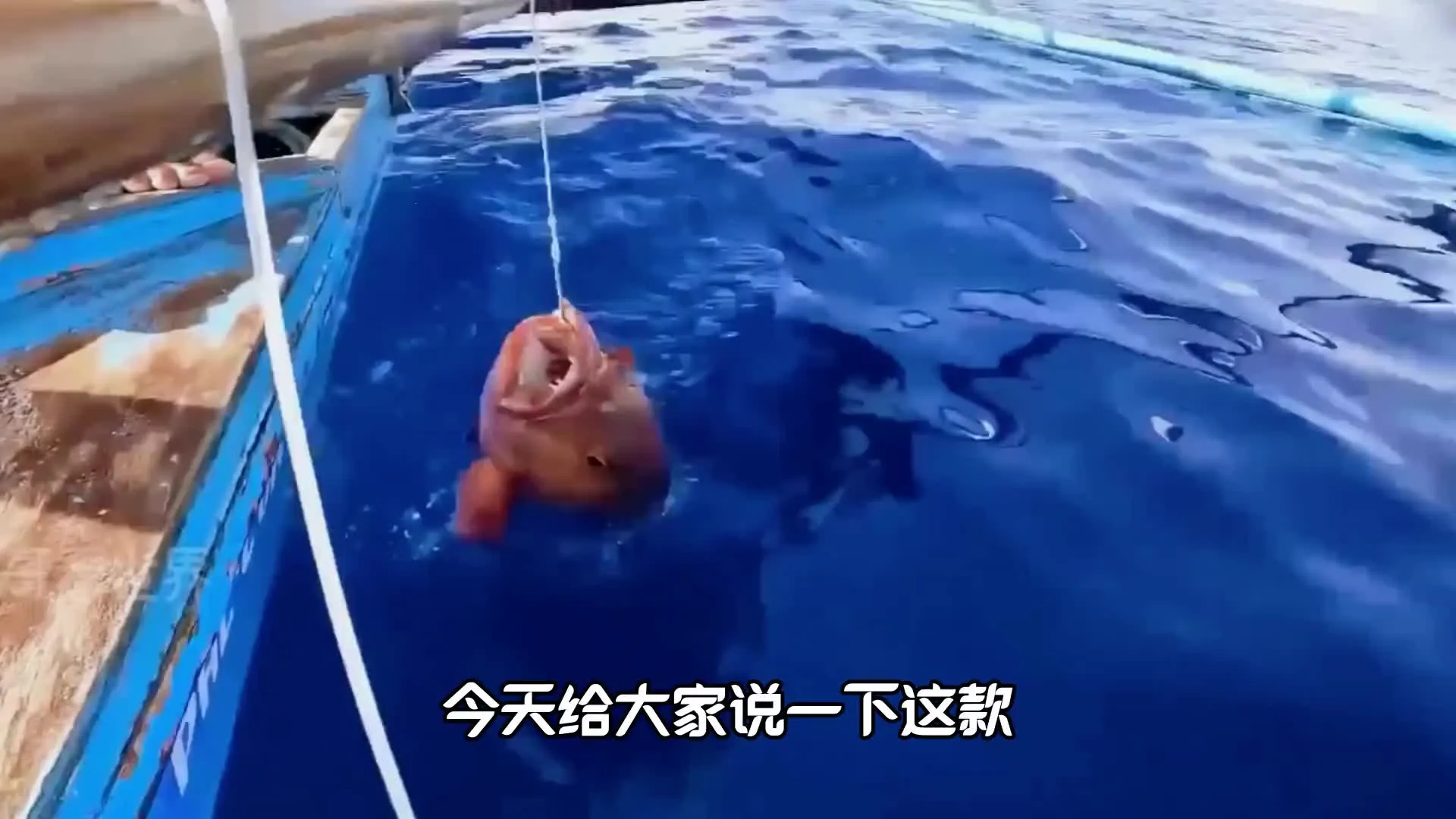 �����ʦ���ϰ�v1.0 ��׿��