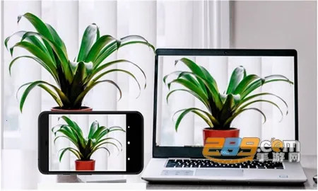 Iriun Webcam(�ֻ����������ͷ)