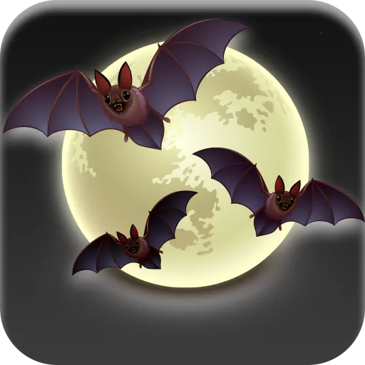 ���ﾪ��ҹ2026�ٷ�����v1.0.2 �ٷ�����