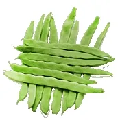 С�˶�2026����v4.1 �ٷ�����