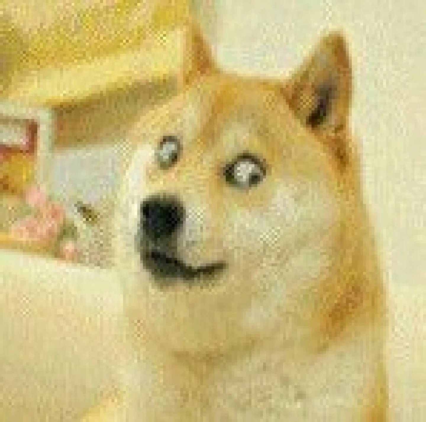 ����������(��Ϸ��������)v20260128 �ٷ����� 