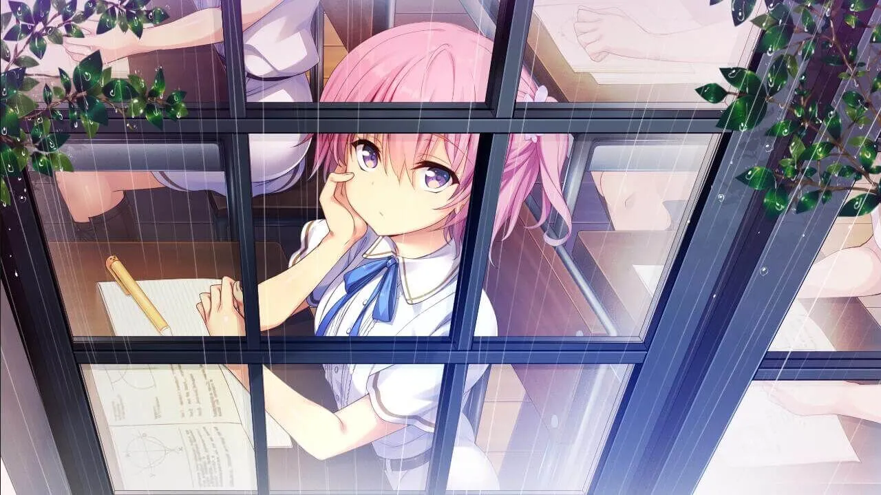 ����-��֮��2026�ٷ�����v2.3.2 �ֻ���