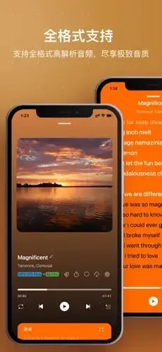 HiFier(���ֲ��Ź���)v1.0 ��Ѱ�