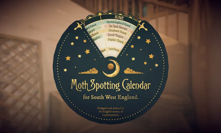 ��̹��ׯ԰2026����v1.0.2 �ֻ���