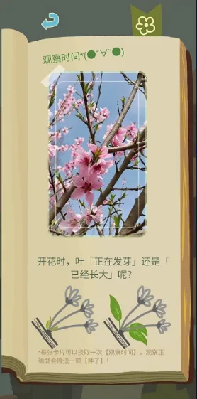 ��ũ������������(�ǿչ۲���Ϸ)