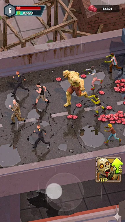 ɥʬ����2026���°汾v0.0.3 �ֻ���