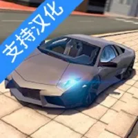 ����������ʻ�ϰ汾