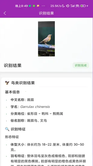 ʶ��2026�ٷ�����v1.1.0 �ٷ�����