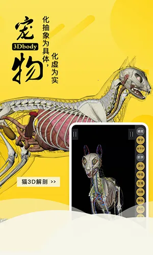 3dbody�����ƽ��v8.8.91 �ٷ�����