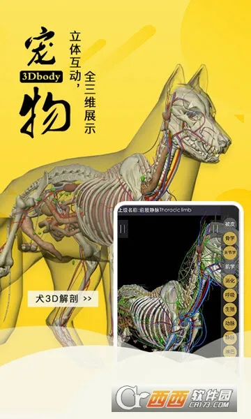3dbody�����ƽ��