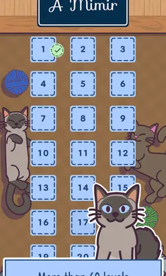 ���׶�(è�������Ϸ)v1.0.0 �ֻ���