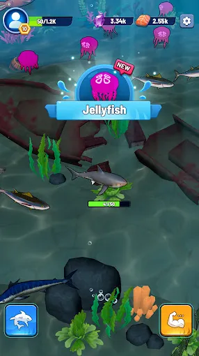 �������������ɳ�2026�ٷ�����v1.0.1 �ֻ���