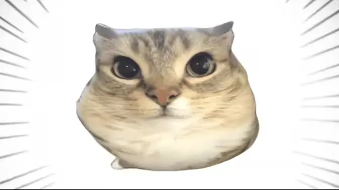 �ͰͲ�һ(δ�ἰ�����޷�����)v1.0 ��׿��