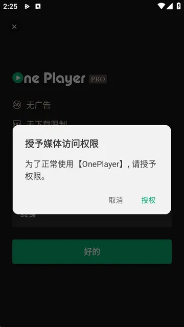 OnePlayer2026最新版本