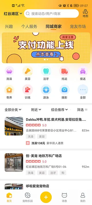 ������2026����