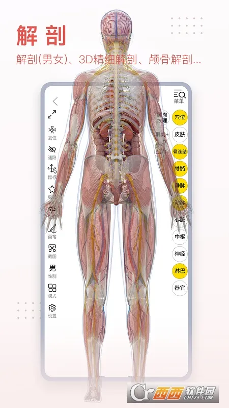 3dbody�������İ�v8.8.72 �ٷ�����