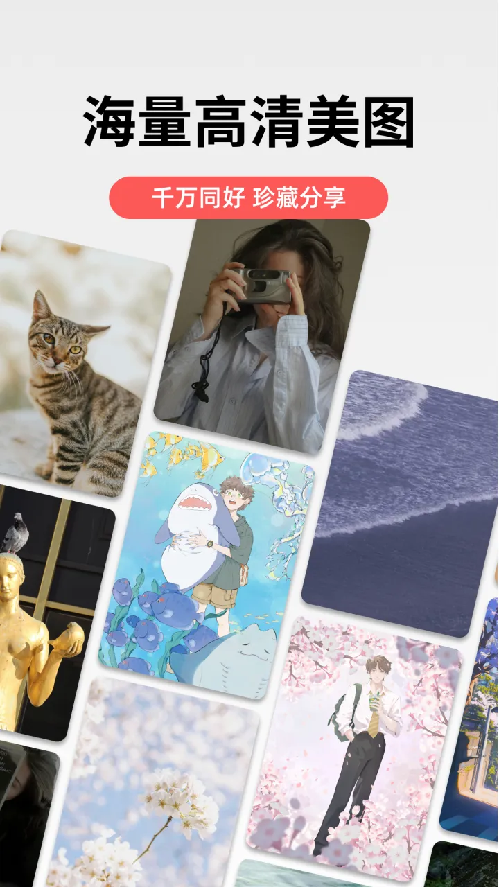 堆糖(美图社交平台) 堆糖(美图社交平台)