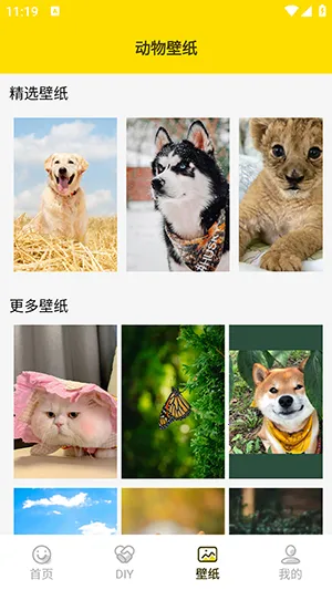 ���ӱ����2026���ذ�װv1.5 �ٷ�����