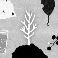 ��������׿���ֻ���v1.51 �ֻ��� 