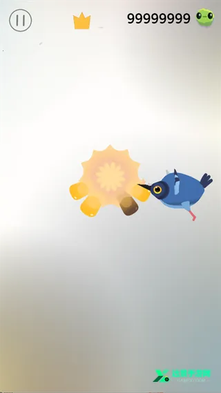 pigeon���ĸ���