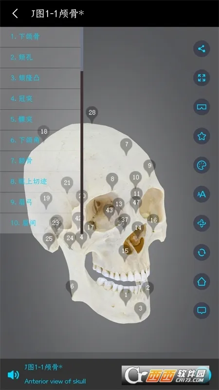 ҽά�Ƚ���2026�ٷ�����v3.3.20 �ֻ���