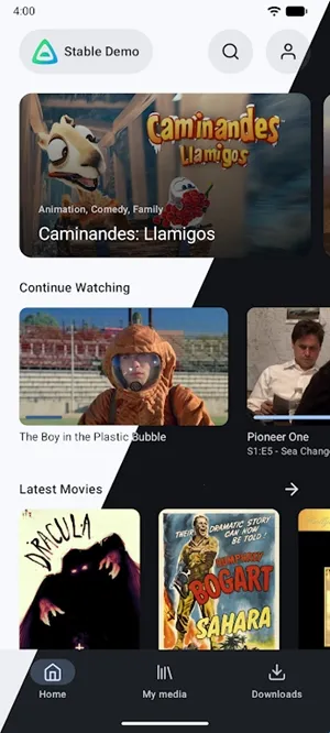 Findroid2026���°汾