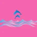 �涯��ᰲ׿���ֻ���v1.0.0 �ֻ���