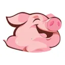 猪悦悦2026下载安装v2.2.7 手机版