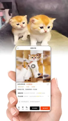 ����2026�ٷ����°汾v1.6.7 ��Ѱ�