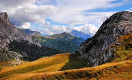 追剧猫2026官方正版