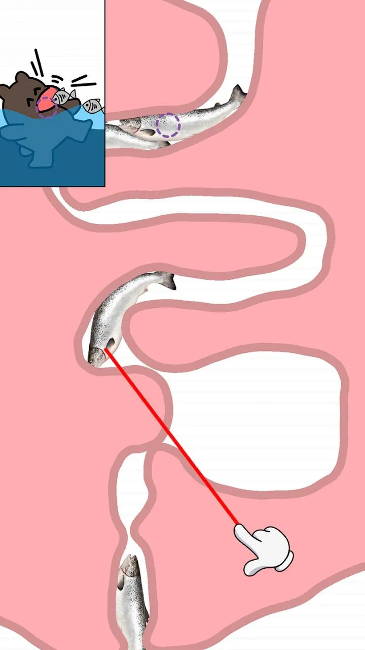 ������2026�ٷ�����v1.63 �ֻ���