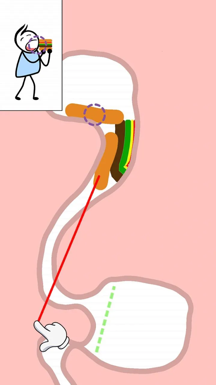 ������2026�ٷ�����v1.63 �ֻ���