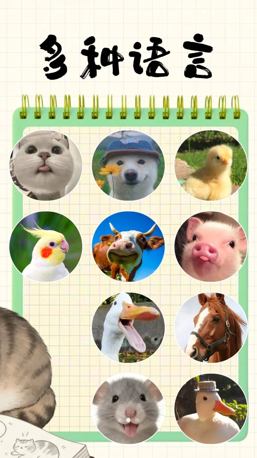 ���÷�����2026����v3.9.5 �ٷ�����