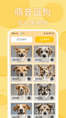 è�������﷭���������ֻ���v1.0.2 �ٷ�����