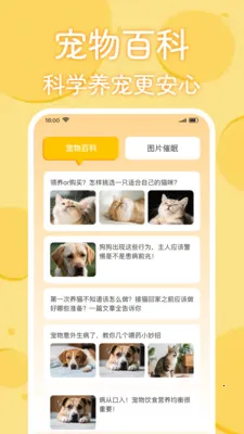 è�������﷭���������ֻ���v1.0.2 �ٷ�����