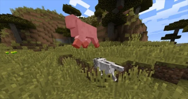 CAT�Ƽ�(�ҵ����縨��)v1.0 ��׿��