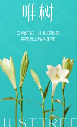 Ψ���ʻ�(�ʻ�����ƽ̨)