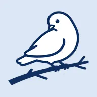 BB�ռ������Bվ(bbspace(Bվ�������ͻ���)v1.4.9 �ٷ�����