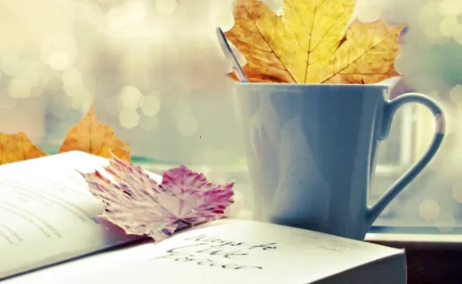 ������2026�ٷ����°汾