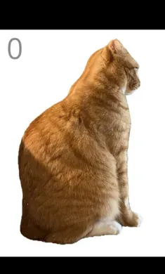 ��è��ë(è��ë������Ϸ)v1.0 �ٷ�����